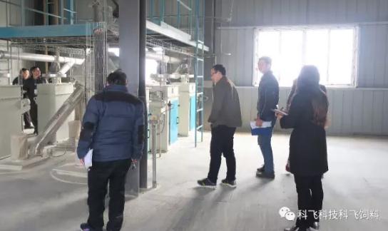 科(kē)飛(fēi)飼料.jpg 科(kē)飛飼料.jpg