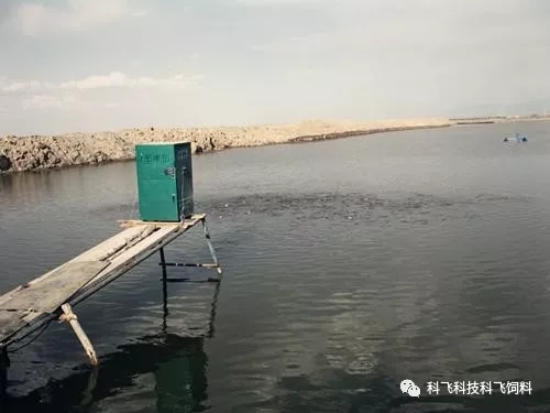 640.webp (1).jpg 640.webp (1).jpg