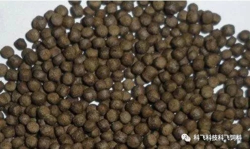 640.webp (5).jpg 640.webp (5).jpg