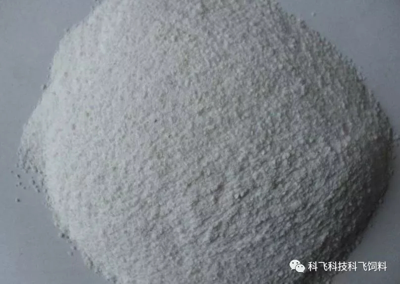 640.webp (8).jpg 640.webp (8).jpg