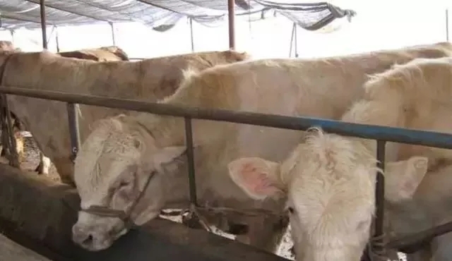 640.webp (12).jpg 640.webp (12).jpg