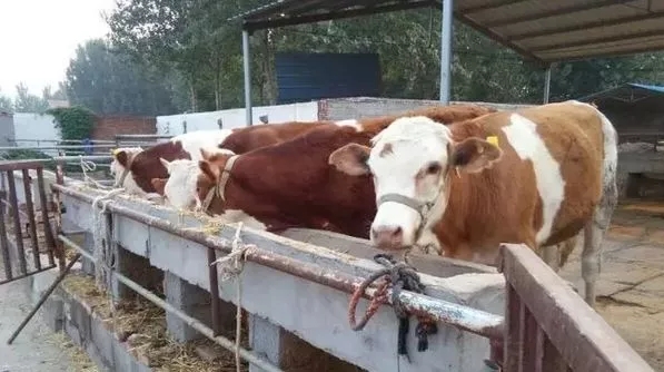 640.webp (13).jpg 640.webp (13).jpg