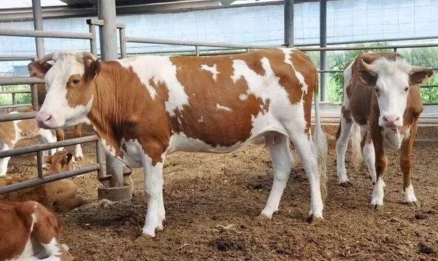 640.webp (14).jpg 640.webp (14).jpg