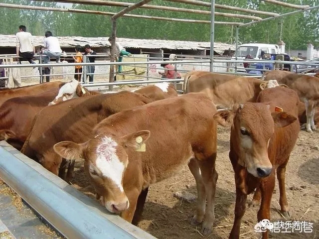 640.webp (22).jpg 640.webp (22).jpg