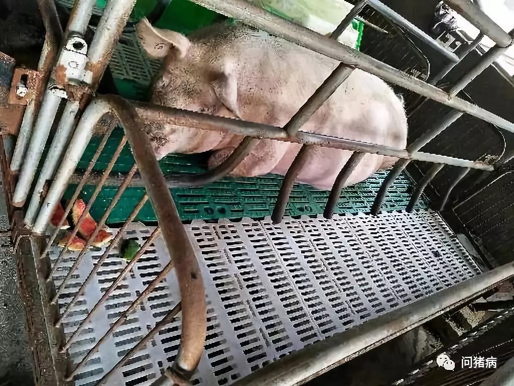 640.webp (1).jpg 640.webp (1).jpg