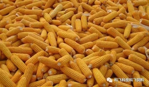 640.webp (4).jpg 640.webp (4).jpg