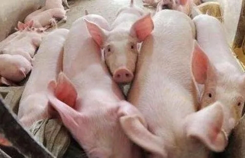 640.webp.jpg 640.webp.jpg